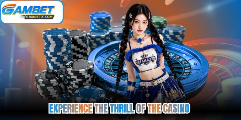 Experience the Thrill of the Casino 